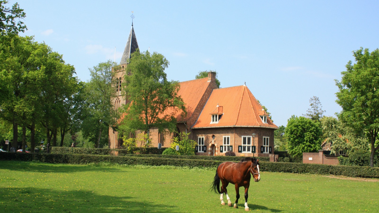 De hervormde dorpskerk van Blaricum met een paard in de wei op de voorgrond.